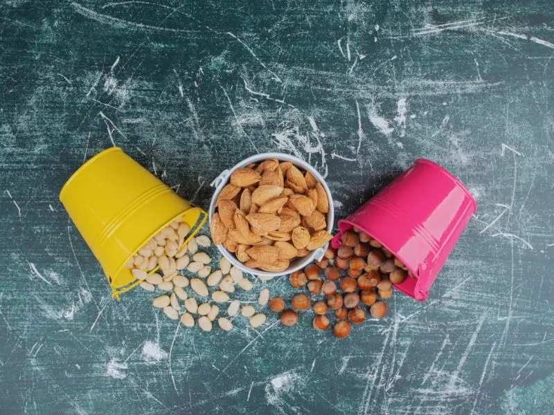 What’s the Difference Between Dog Food and Cat Food?