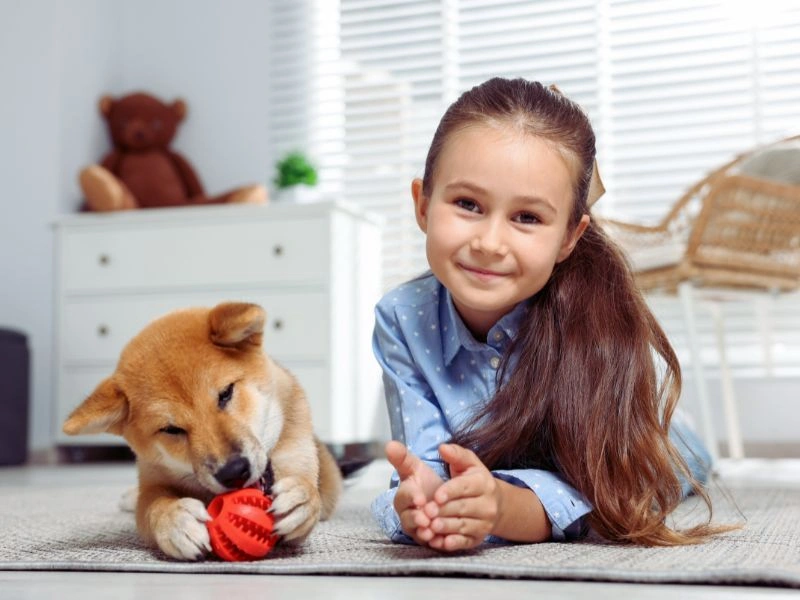 Children and Facial Dog Bites — A Special Risk