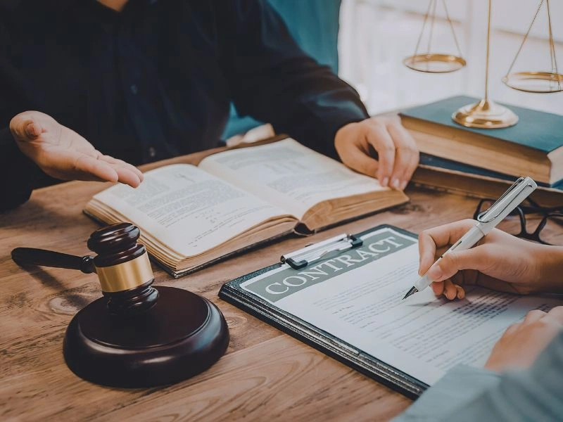 The Legal Implications of a Level 2 Dog Bite