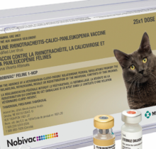 NOBIVAC® Feline 1-HCP