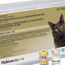 NOBIVAC® Feline 1-HCP