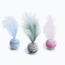 Cat Toy Feather Ball