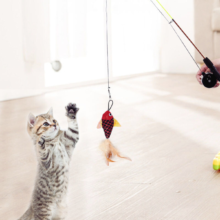 Pet Cat Playing Fish Teaser Toy