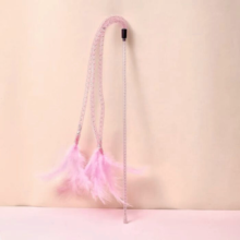 Feather Bell Cat Toy