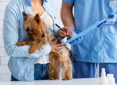 pet insurance for dogs