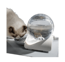 2.8L Bubble Cat Water Fountain Price in Bangladesh