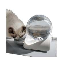 2.8L Bubble Cat Water Fountain Price in Bangladesh