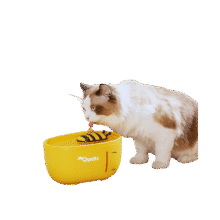 2L Little Bee Cat Drinking Fountain USB Price in Bangladesh