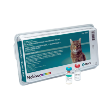 Nobivac Cat Vaccine Price in Bangladesh