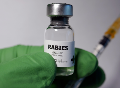 Rabies Vaccine Price in Bangladesh