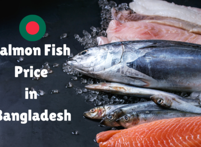 Salmon Fish Price in Bangladesh