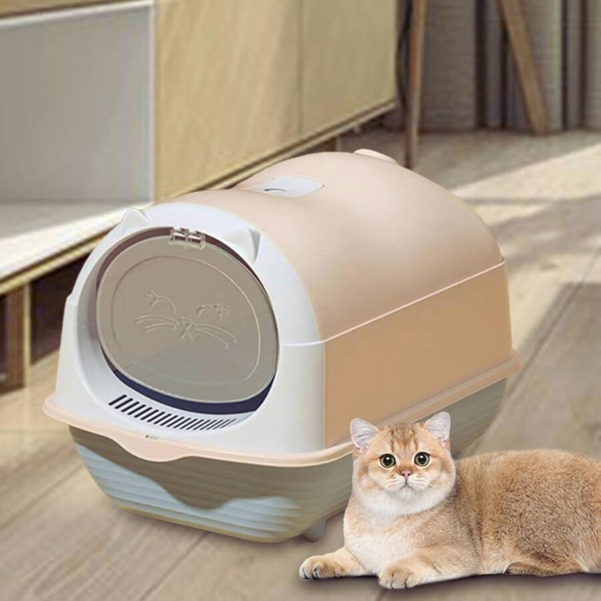 Cat Litter Box Price in Bangladesh