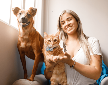 Pet Insurance