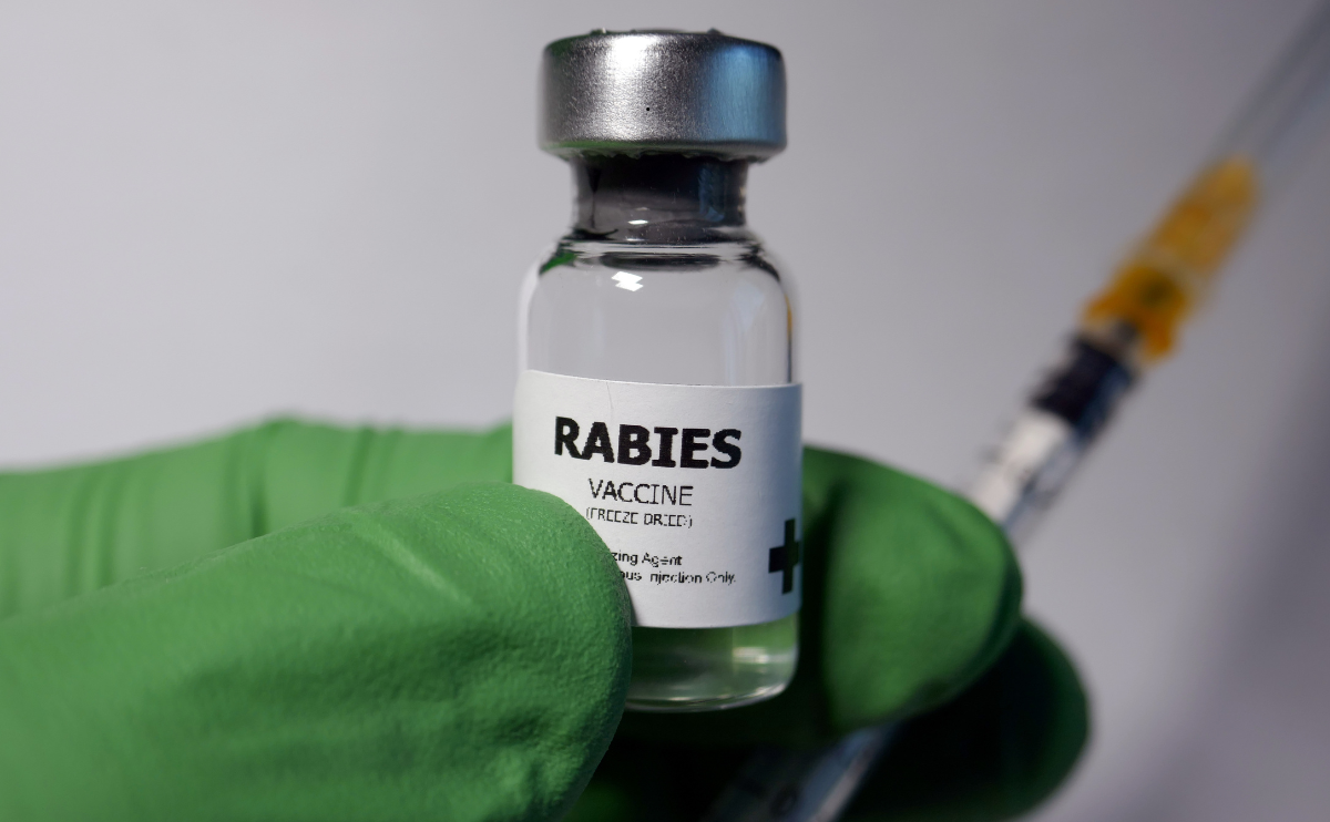 Rabies Vaccine Price in Bangladesh