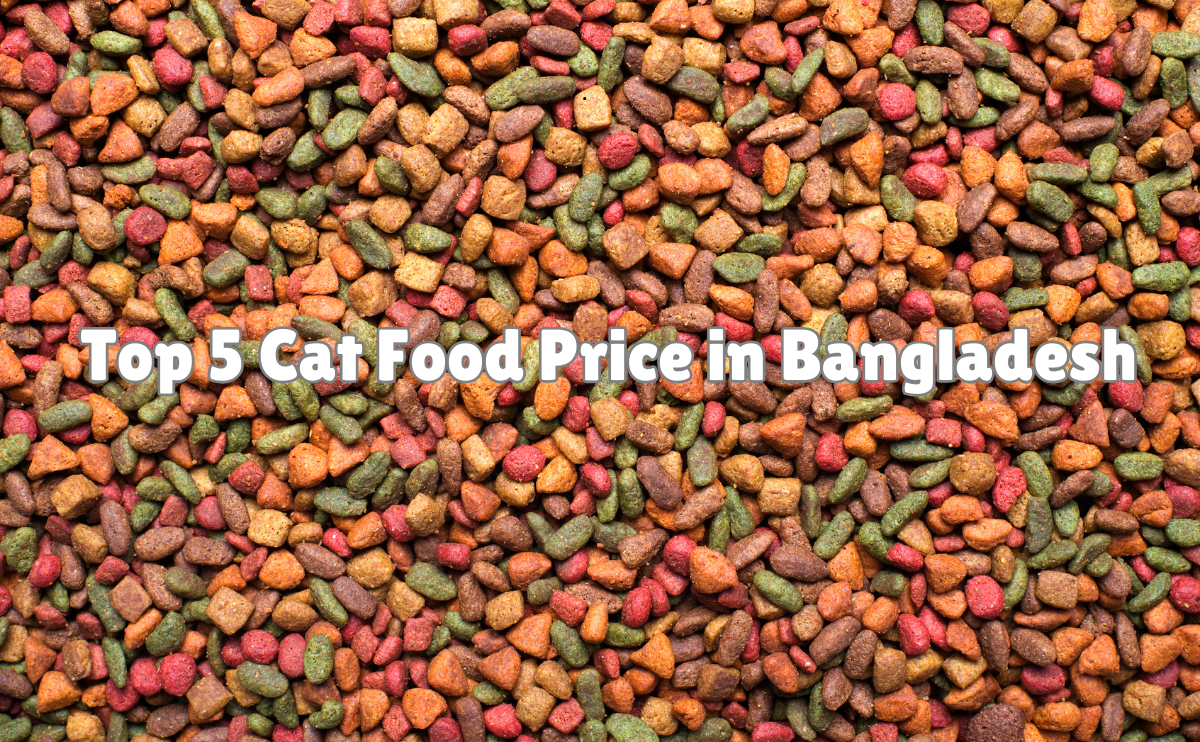 Food Price in Bangladesh