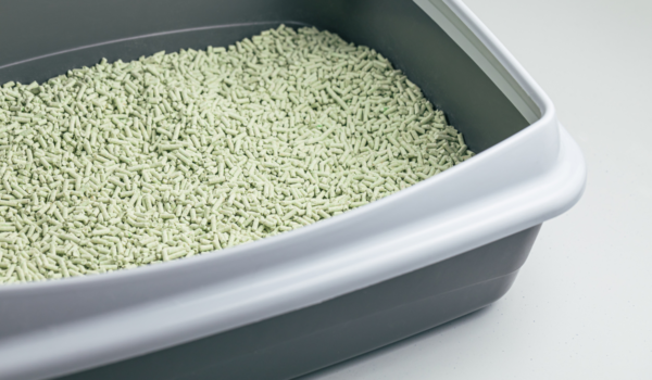 Tofu Cat litter