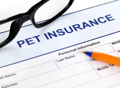 Pet Insurance