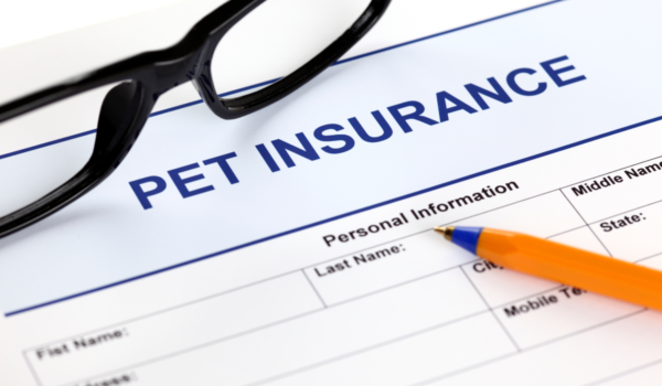 Pet Insurance
