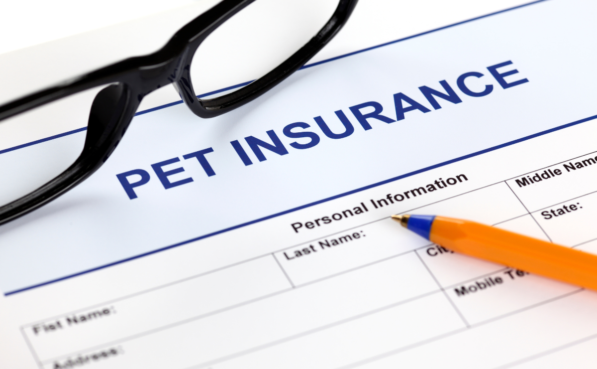 Pet Insurance