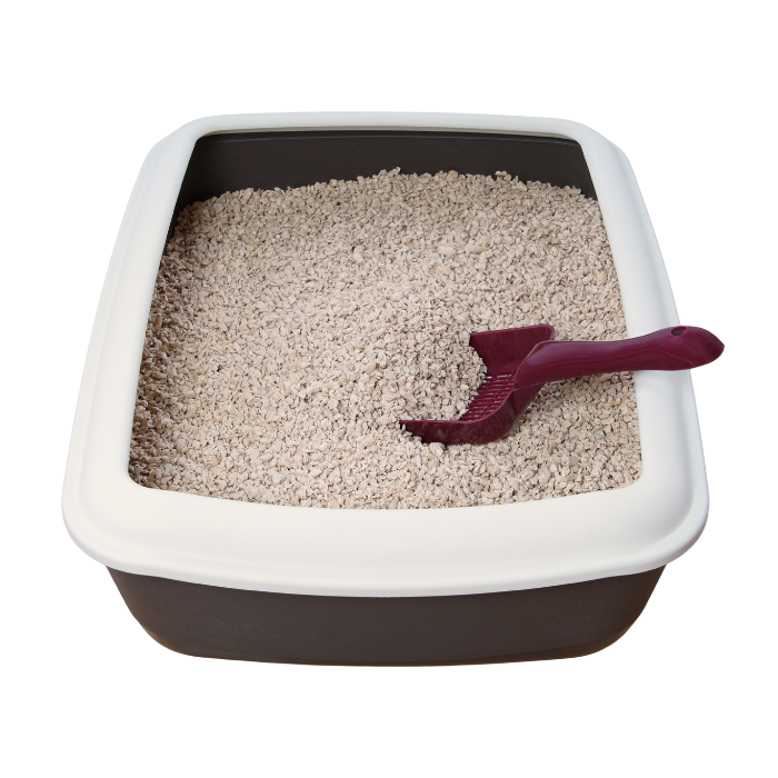 Cat Litter