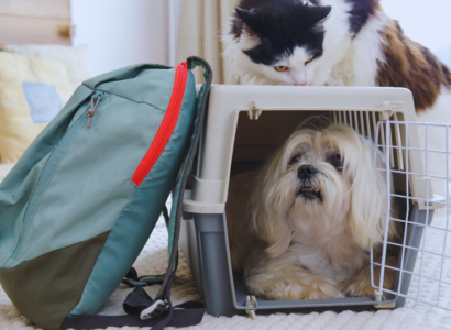 Travel Carriers for Large Dogs