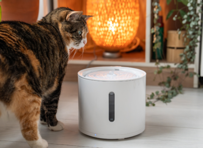 automatic water fountains for cats
