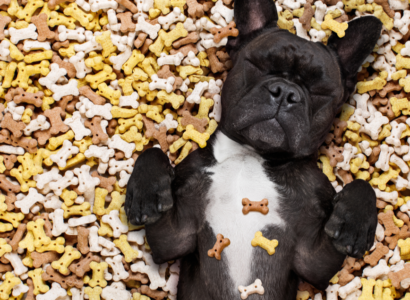 Delicious and Nutritious: Healthy Homemade Dog Treats Recipes