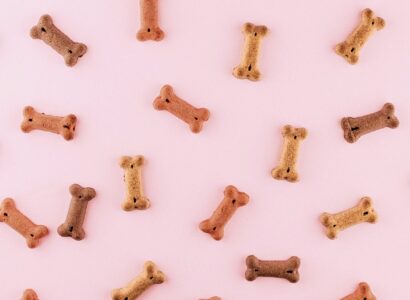 multicolored dog bone toys