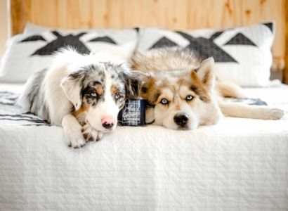 luxury dog beds for large breeds