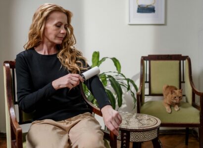 Guide to Pet Hair Removal Tools for Furniture