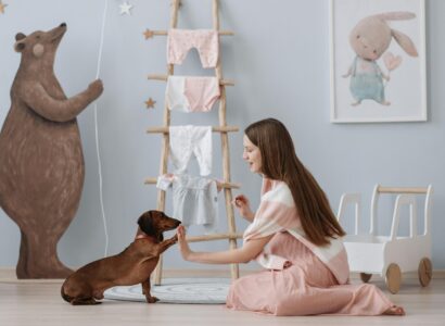 dog training collars for stubborn dogs