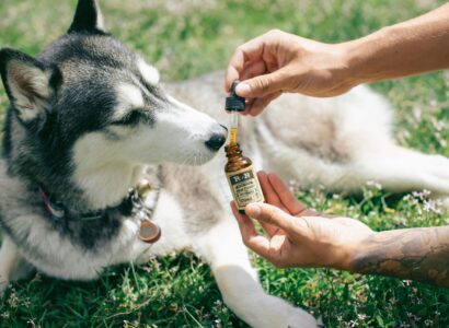 organic dog supplements for joint health