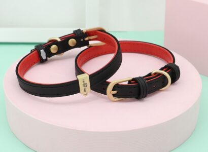 Stylish Cat Collars with Breakaway Buckles