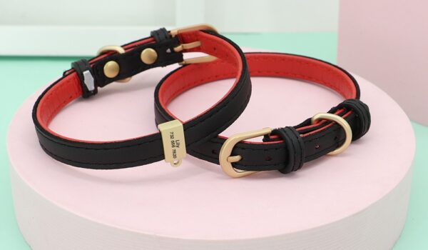 Stylish Cat Collars with Breakaway Buckles