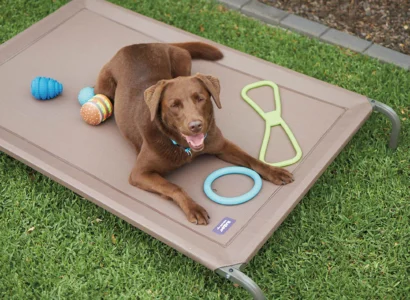 Heated Dog Beds for Outdoor Dogs