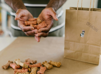 Raw Dog Food Delivery Services