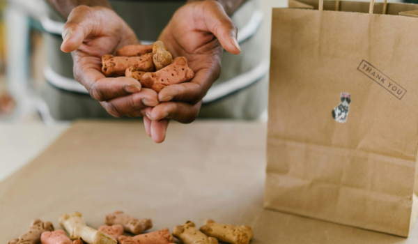 Raw Dog Food Delivery Services