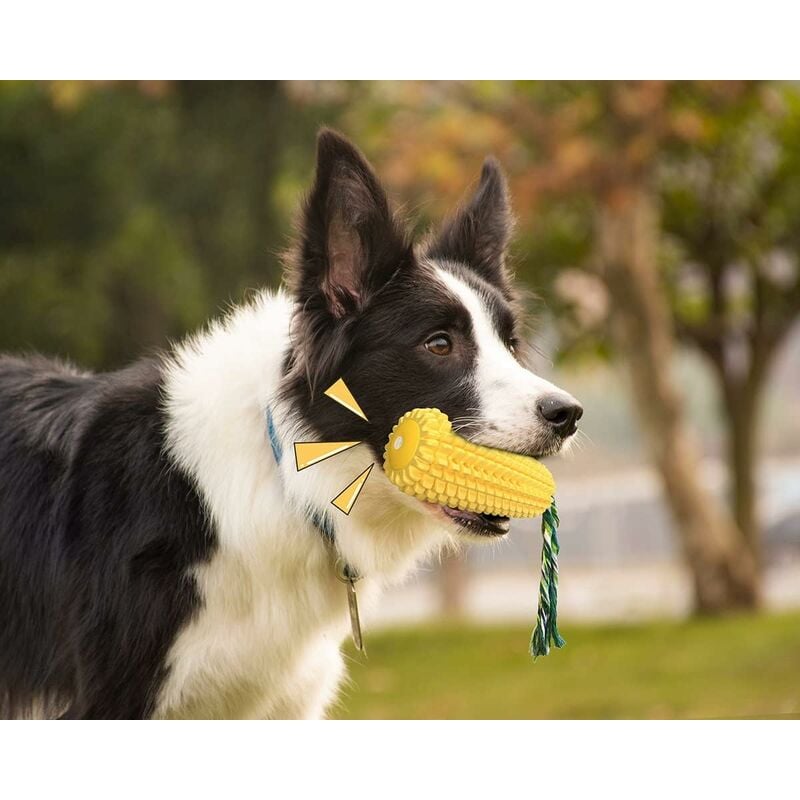 The Ultimate Guide to Durable Chew Toys for Aggressive Chewers