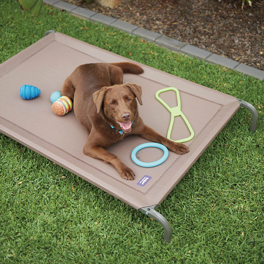 Heated Dog Beds for Outdoor Dogs