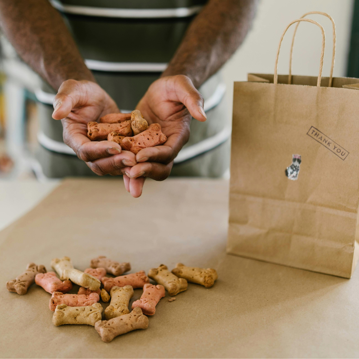 Raw Dog Food Delivery Services