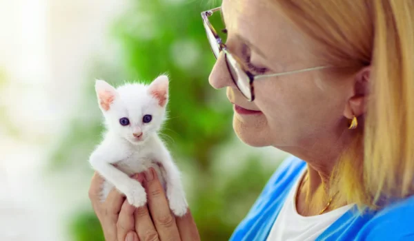 How to Tell How Old a Kitten Is