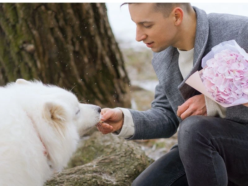 Do You Have a Valid Dog Bite Claim?